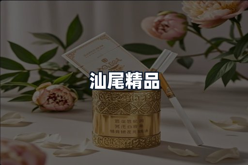汕尾精品
